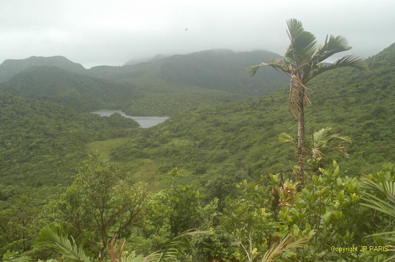 Dominique : Fresh Water Lake